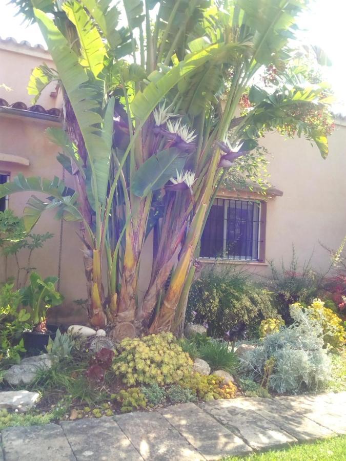 Arthouse Campos Mit Haus Galeria 110Qm Und Appartementhaus Mit Patio 30Qm Extérieur photo