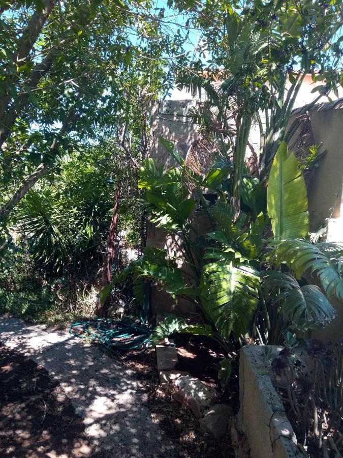 Arthouse Campos Mit Haus Galeria 110Qm Und Appartementhaus Mit Patio 30Qm Extérieur photo